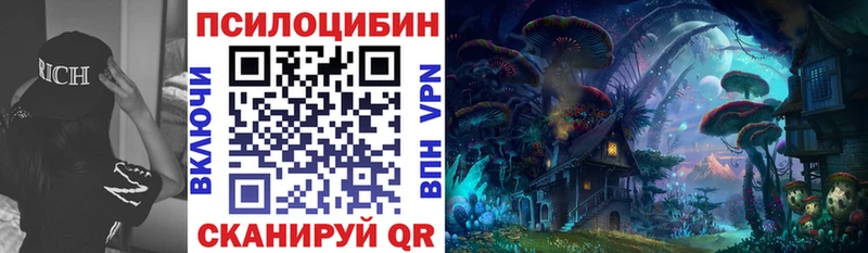 Галлюциногенные грибы Psilocybine cubensis  Купить  Каспийск 